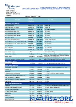 Realistic Canada JP Morgan Chase proof of address bank statement excel real example